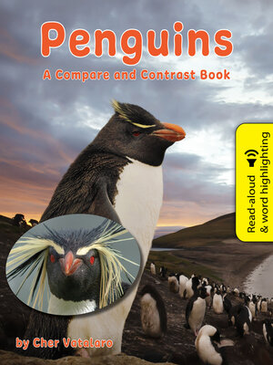 cover image of Penguins